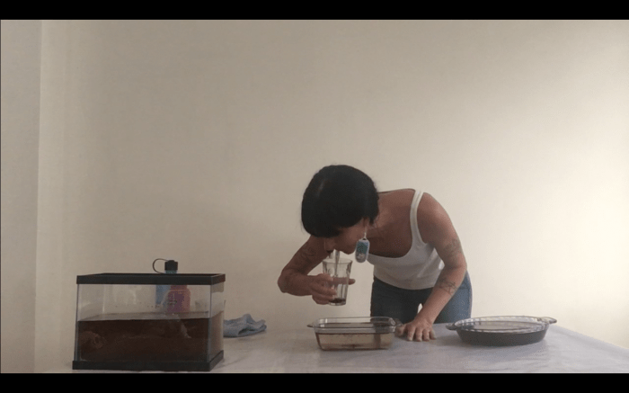 Screen Shot 2016-08-25 at 11.22.04 AM.png