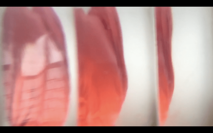 Screen Shot 2016-09-15 at 4.07.26 PM.png